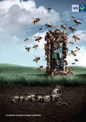 Campaña - Movistar Perú