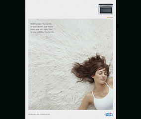 Campaña - BGH (CraveroLanis)