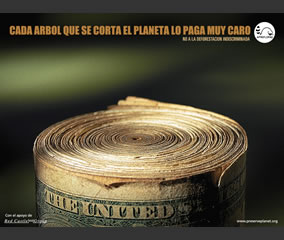Ganadores - Volcán de Oro 2004 (Costa Rica)