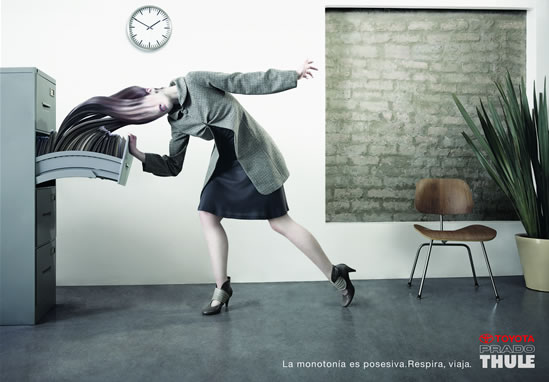 Campaña - Toyota Prado