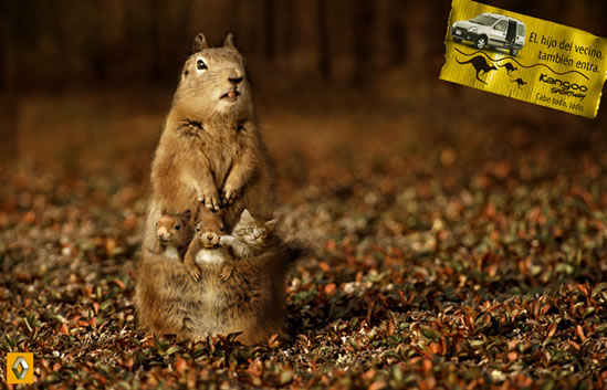 Campaña Renault Kangoo Sport Way