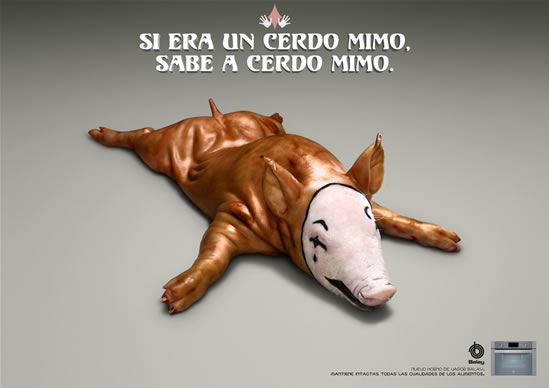 Cerdo Mimo