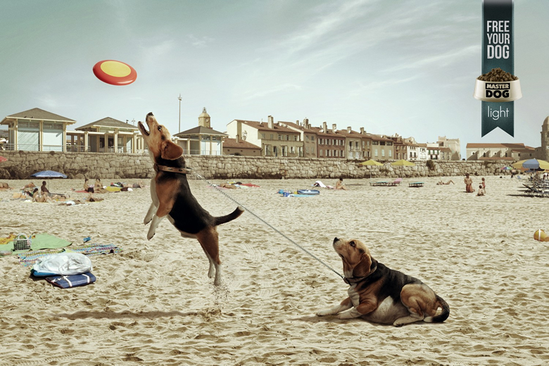 Campaña MasterDog Light