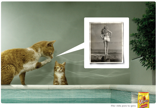 Campaña 9Lives