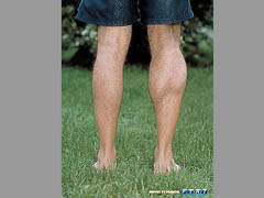 Calf