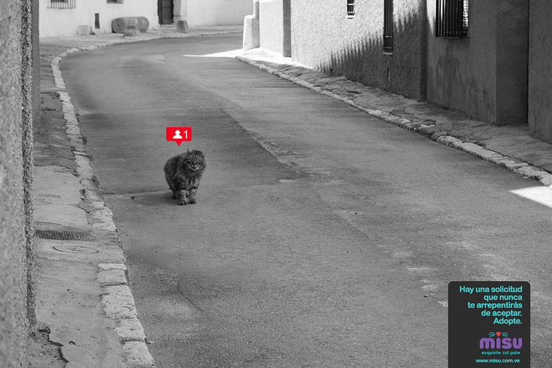Calle
