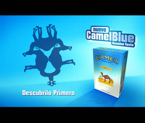 Pájaro