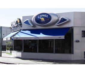 Camel Store
