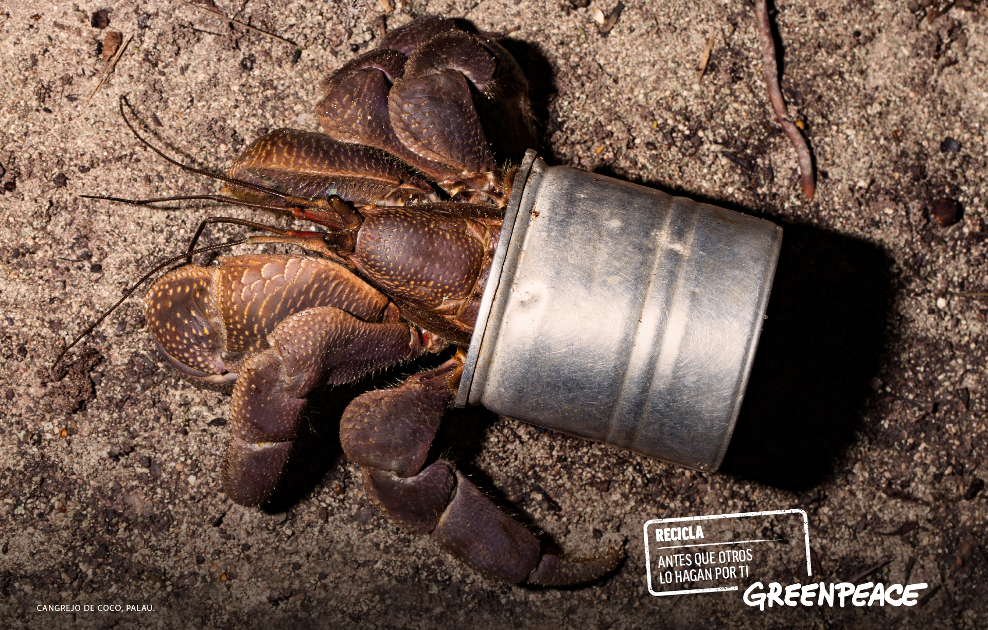 Campaña Print Greenpeace