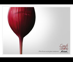 Campaña - Salón del Vino (Punto Ogilvy Uruguay)