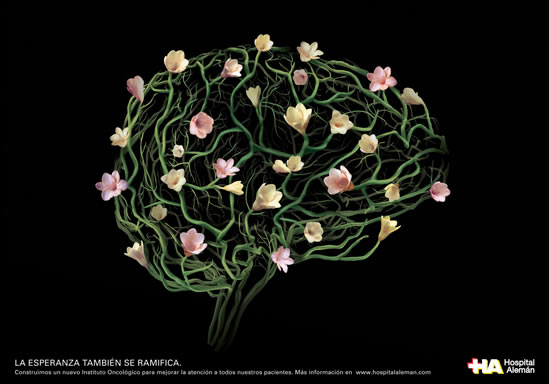 Campaña Hospital Alemán
