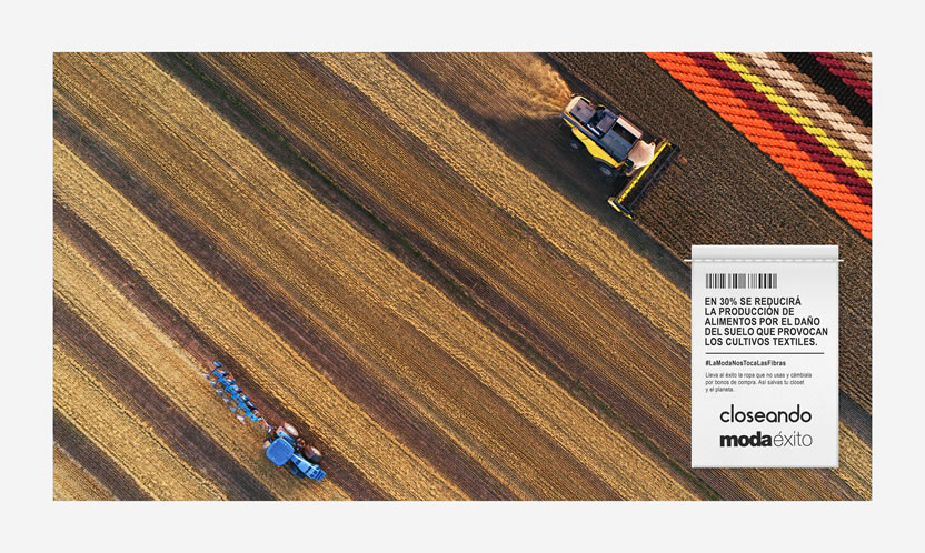 Cultivo 2