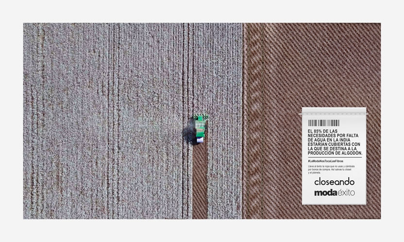 Cultivo 3