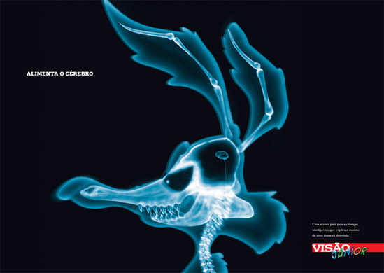 Campaña Vasao