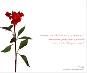 Gráficas - La Flor (Cravero Lanis)