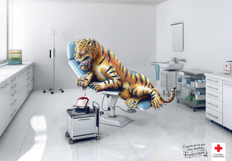 Tigre