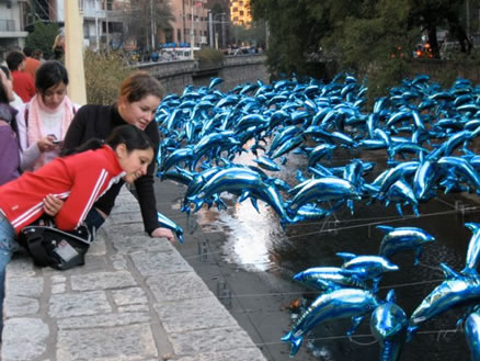 Delfines 3