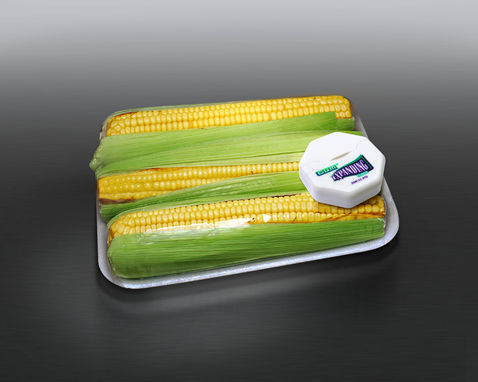 Elotes