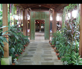 El Pellizco 2005