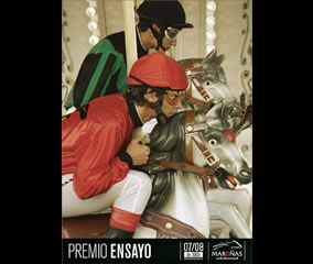 Ensayo