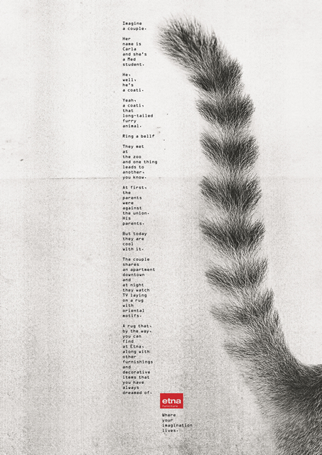 Coati