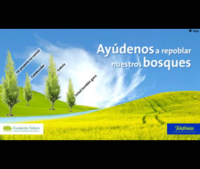 Pantallazo 2