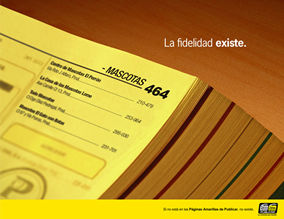 Fidelidad