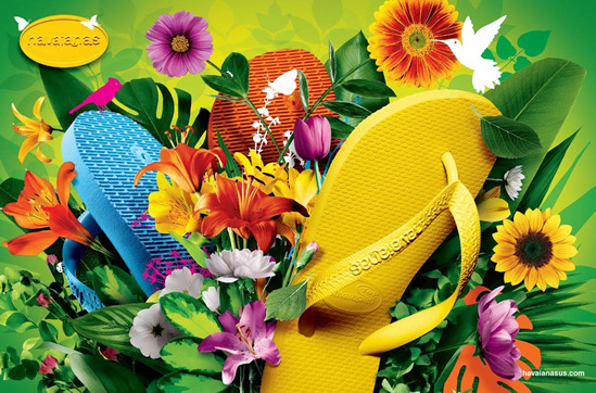 Flores