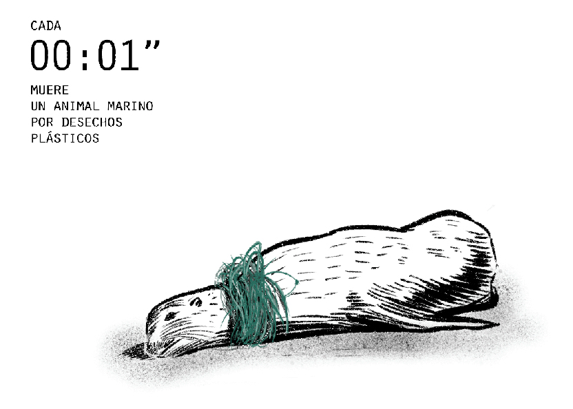Foca