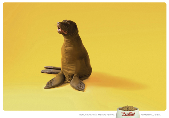 Campaña Tiernitos
