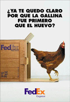 Gallina