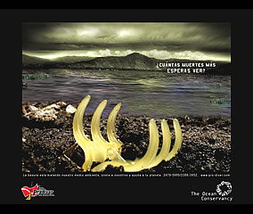 Eco Prodiver / Ocean Conservancy