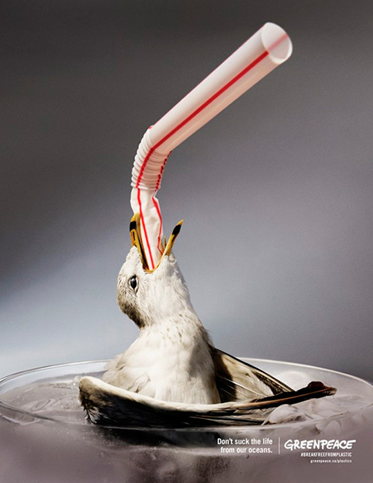 Gaviota