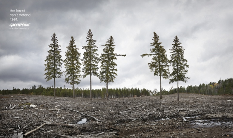 Campaña Greenpeace Canadá