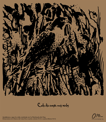 Campaña OSA