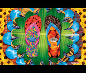 Gráficas - Havaianas 2005 (Almap BBDO)
