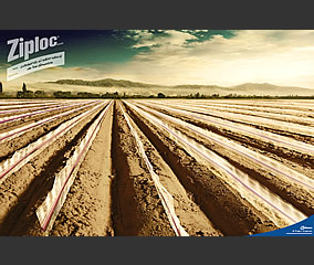 Gráfica - Bolsas Ziploc (IDB/FCB)