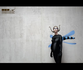 Campaña - MEF (BBDO Argentina)