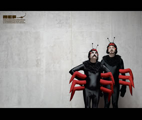 Insectos 2