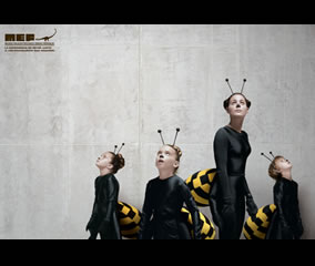 Insectos 3