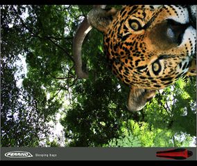Últimas Gráficas - Ogilvy & Mather (Guatemala)