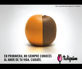 Campaña - Tulipán 2005 (Young & Rubicam Argentina)