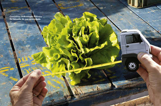 Lechuga