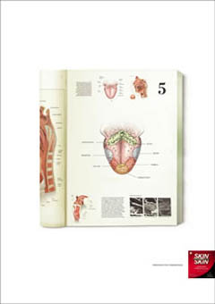 Lengua