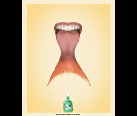 Lengua