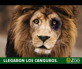 León