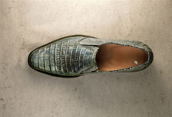 Mans Shoe