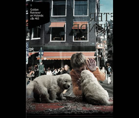 Campaña - Mascotas Mastercard (McCann Erickson Argentina)