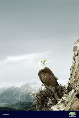 Campaña - Land Rover