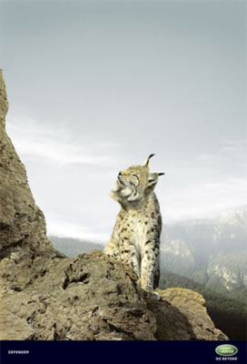 Animales 2